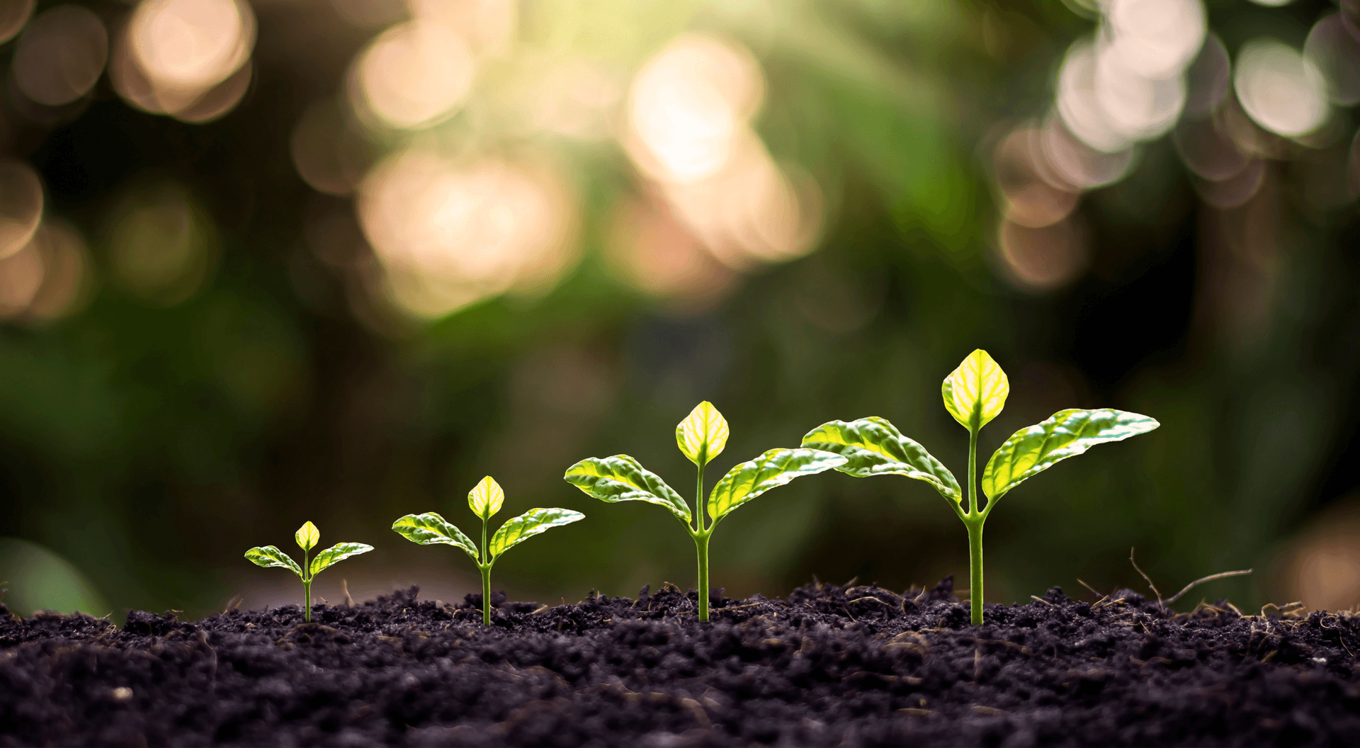 Innovationsfunding